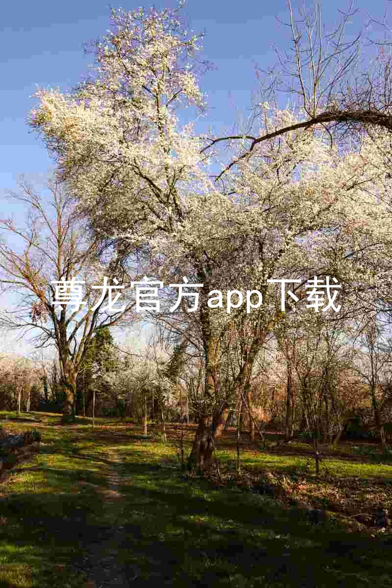 尊龙官方app下载
