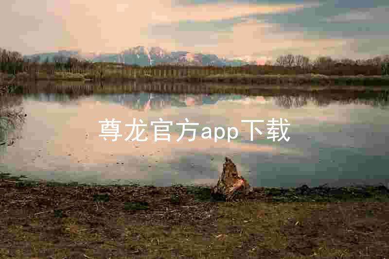 尊龙官方app下载