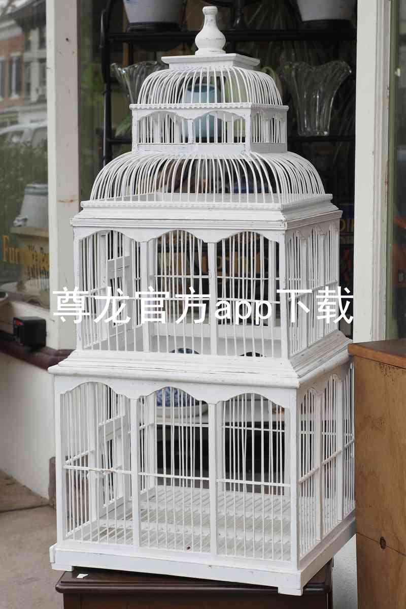 尊龙官方app下载