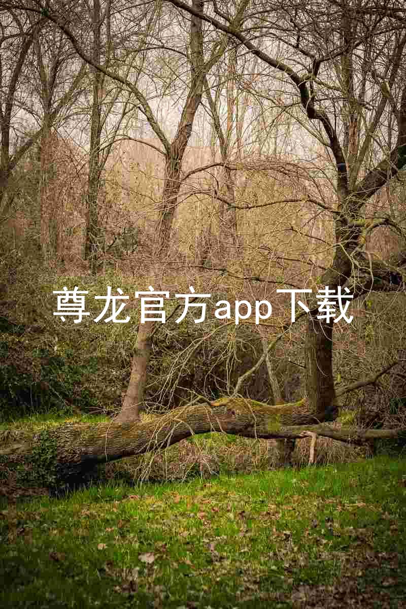 尊龙官方app下载